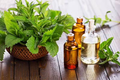 Massage Pfefferminze
